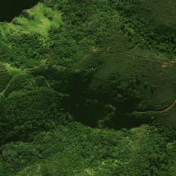 Satellite imagery of 41 WHAKAKORO, NZ