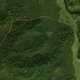 Satellite imagery of 41 WHAKAKORO, NZ