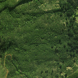 Satellite imagery of Te Aupouri Pa, NZ