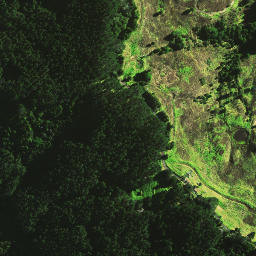 Satellite imagery of 1665, NZ