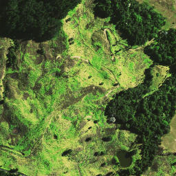 Satellite imagery of 1665, NZ