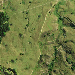 Satellite imagery of 1665, NZ