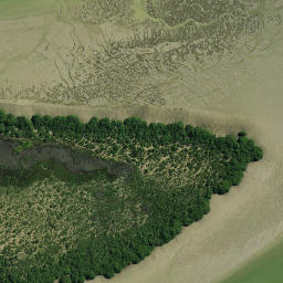 Satellite imagery of Makauekaue Pa or Whakaue Pa, NZ
