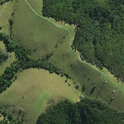 Satellite imagery of Paringaringa Pa, NZ