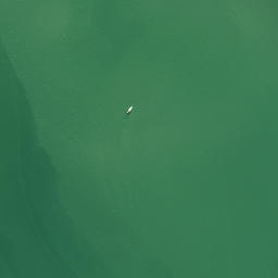 Satellite imagery of Te Waipa Point, NZ