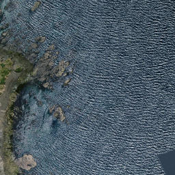 Satellite imagery of Moturoa Point, NZ