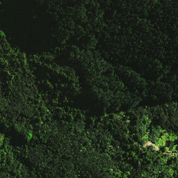 Satellite imagery of 1665, NZ