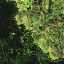 Satellite imagery of 1665, NZ