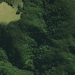 Satellite imagery of Hukahuka Pa, NZ