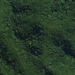 Satellite imagery of Puketohunga Pa, NZ