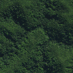 Satellite imagery of Puketohunga Pa, NZ