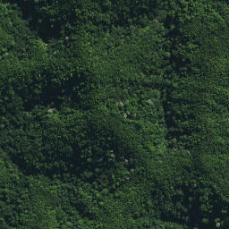 Satellite imagery of Puketohunga Pa, NZ