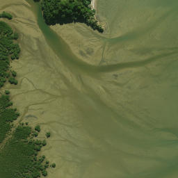 Satellite imagery of Patunga Point, NZ