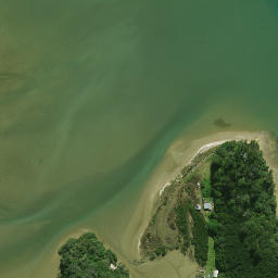 Satellite imagery of Patunga Point, NZ