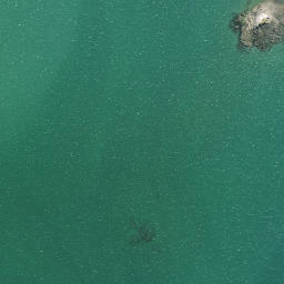 Satellite imagery of Rocky Point, NZ