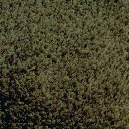 Satellite imagery of Mount Lickhole, AU
