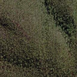 Satellite imagery of Brindabella Mountain, AU