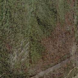 Satellite imagery of Brindabella Mountain, AU