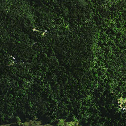 Satellite imagery of 1665, NZ