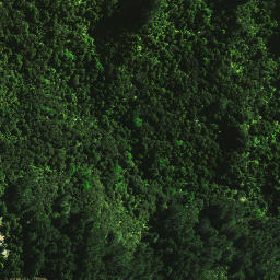 Satellite imagery of 1665, NZ