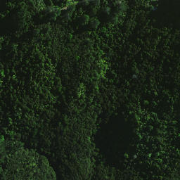 Satellite imagery of 1665, NZ