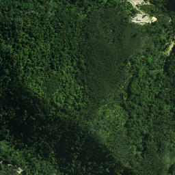 Satellite imagery of Karewakirunga Pa or Muriwai's Pa, NZ