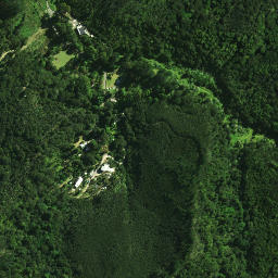 Satellite imagery of Karewakirunga Pa or Muriwai's Pa, NZ