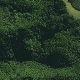 Satellite imagery of Hukahuka Pa, NZ