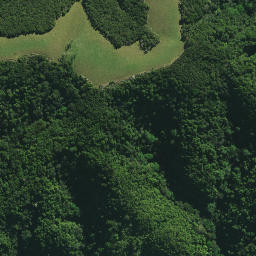 Satellite imagery of Hukahuka Pa, NZ