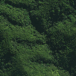 Satellite imagery of Hukahuka Pa, NZ