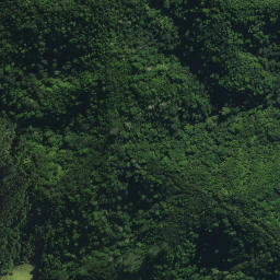 Satellite imagery of Puketohunga Pa, NZ