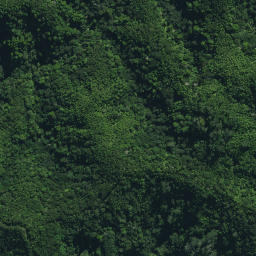 Satellite imagery of Puketohunga Pa, NZ