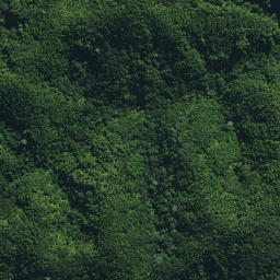 Satellite imagery of Puketohunga Pa, NZ