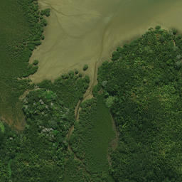 Satellite imagery of Patunga Point, NZ