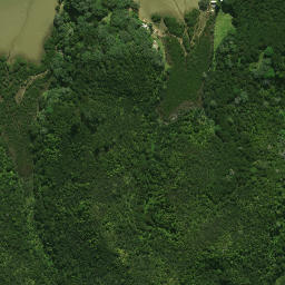 Satellite imagery of Patunga Point, NZ
