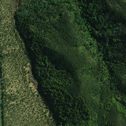 Satellite imagery of Karewakirunga Pa or Muriwai's Pa, NZ