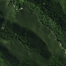 Satellite imagery of Karewakirunga Pa or Muriwai's Pa, NZ