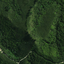 Satellite imagery of Karewakirunga Pa or Muriwai's Pa, NZ