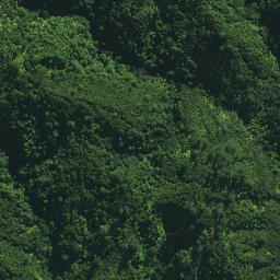 Satellite imagery of Hukahuka Pa, NZ