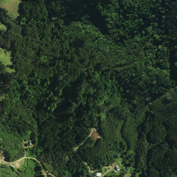 Satellite imagery of Puketohunga Pa, NZ