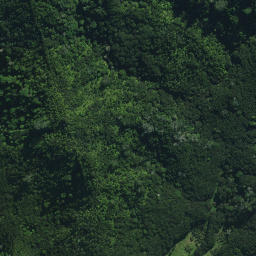 Satellite imagery of Puketohunga Pa, NZ