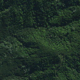 Satellite imagery of Puketohunga Pa, NZ