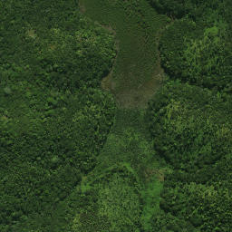 Satellite imagery of Patunga Point, NZ