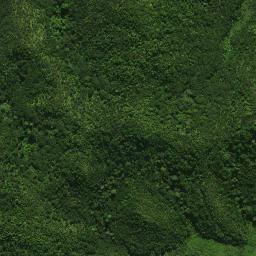 Satellite imagery of Patunga Point, NZ