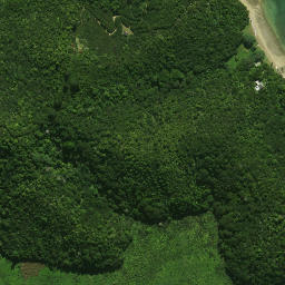 Satellite imagery of Patunga Point, NZ