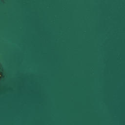 Satellite imagery of Ruakoura Point, NZ