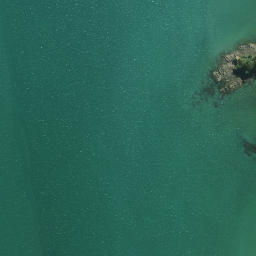 Satellite imagery of Ruakoura Point, NZ