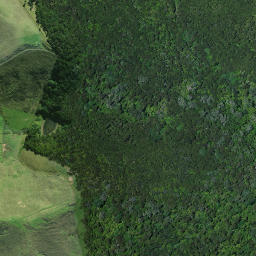 Satellite imagery of Papahui Pa, NZ