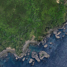 Satellite imagery of Kouru Point, NZ