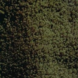 Satellite imagery of Mount Lickhole, AU